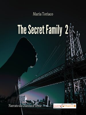 cover image of The Secret Family 2